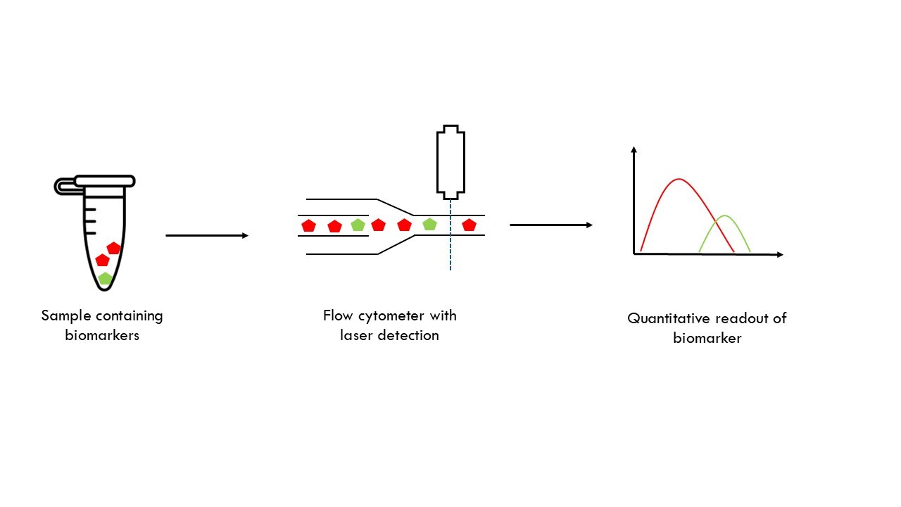Flow cytometry