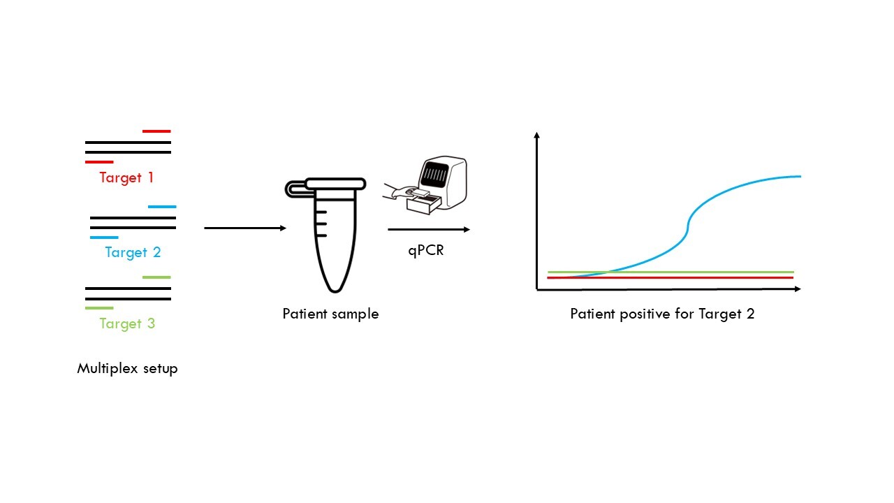Quantitative polymerase chain reaction