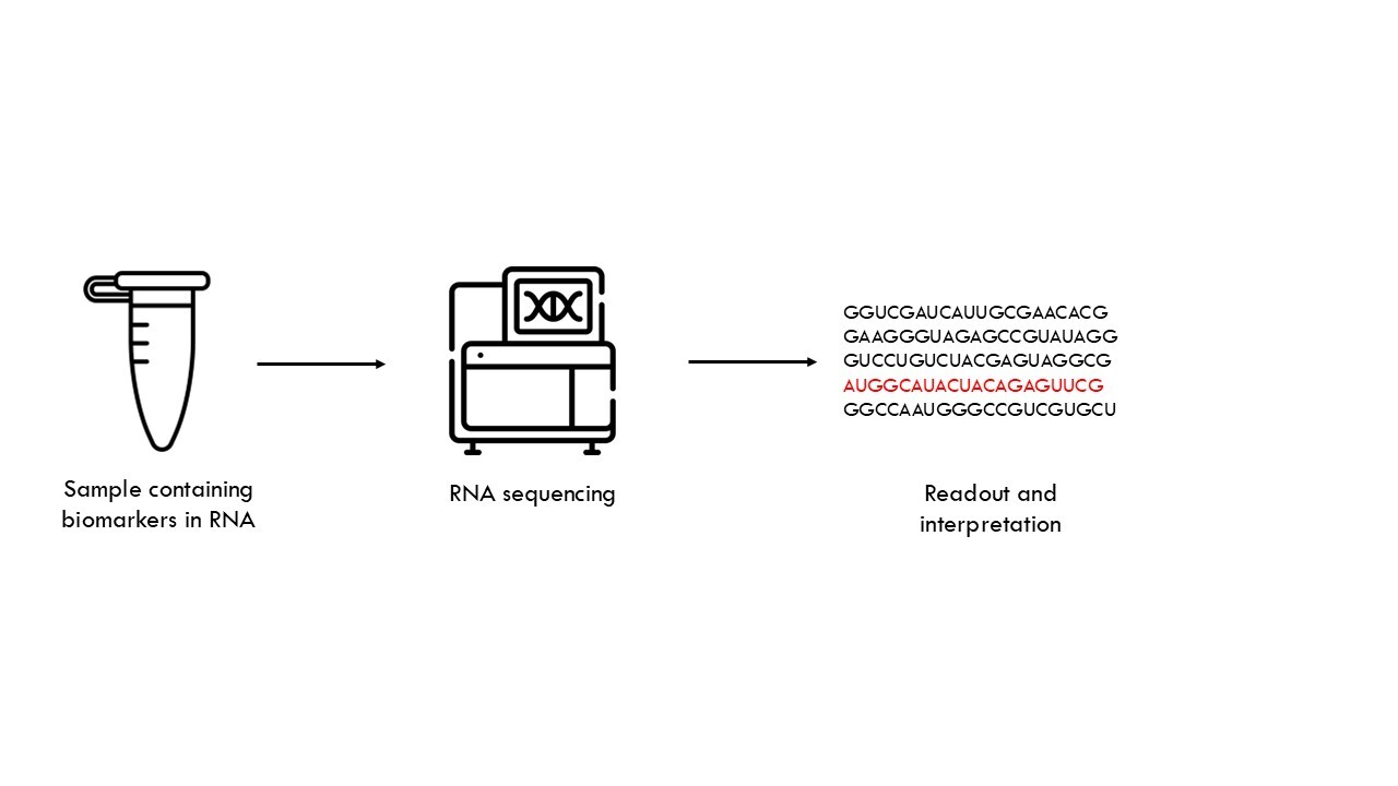 RNA-seq (RNA sequencing)