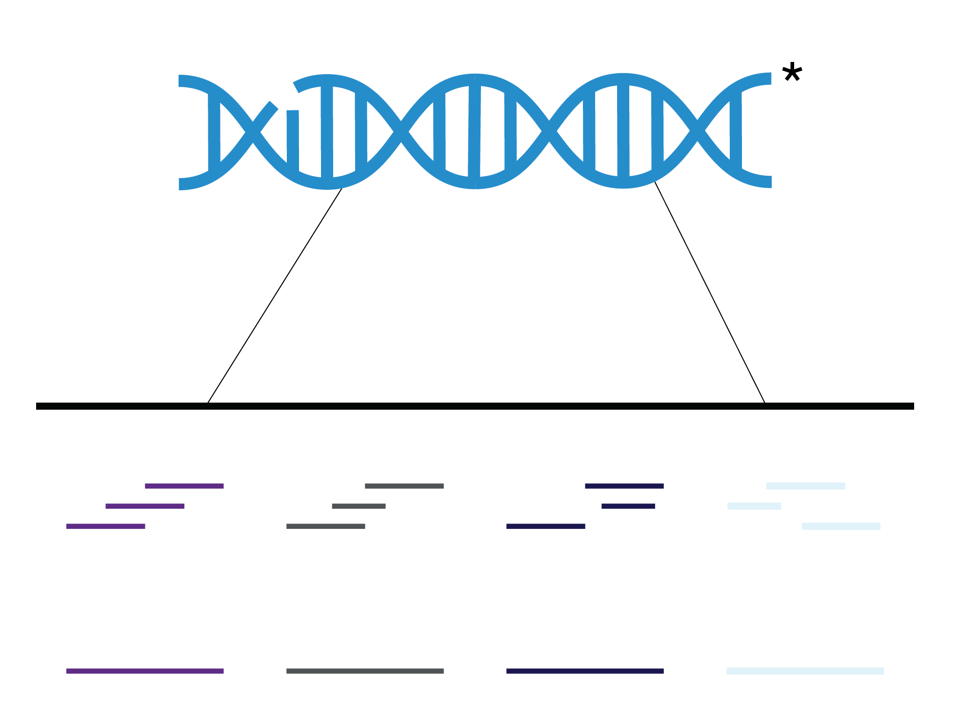 Short read sequencing_OHMX.bio