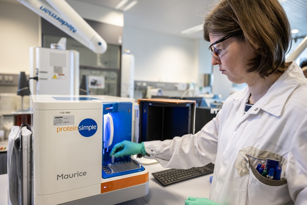 Best practices for cell line quality control