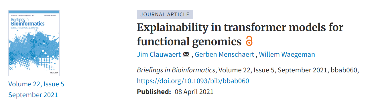 Explainability in transformer models for functional genomics