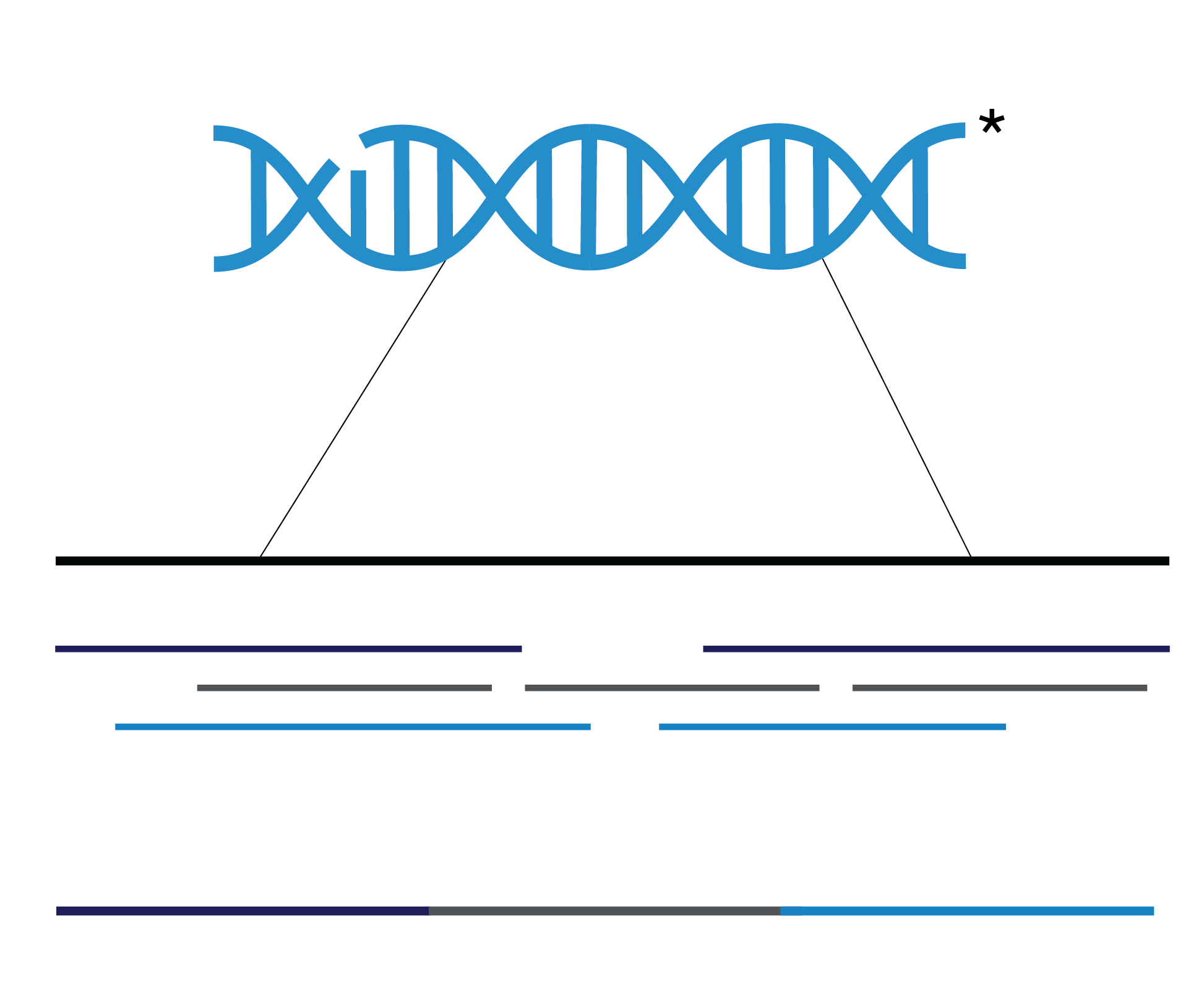Long read sequencing_OHMX.bio